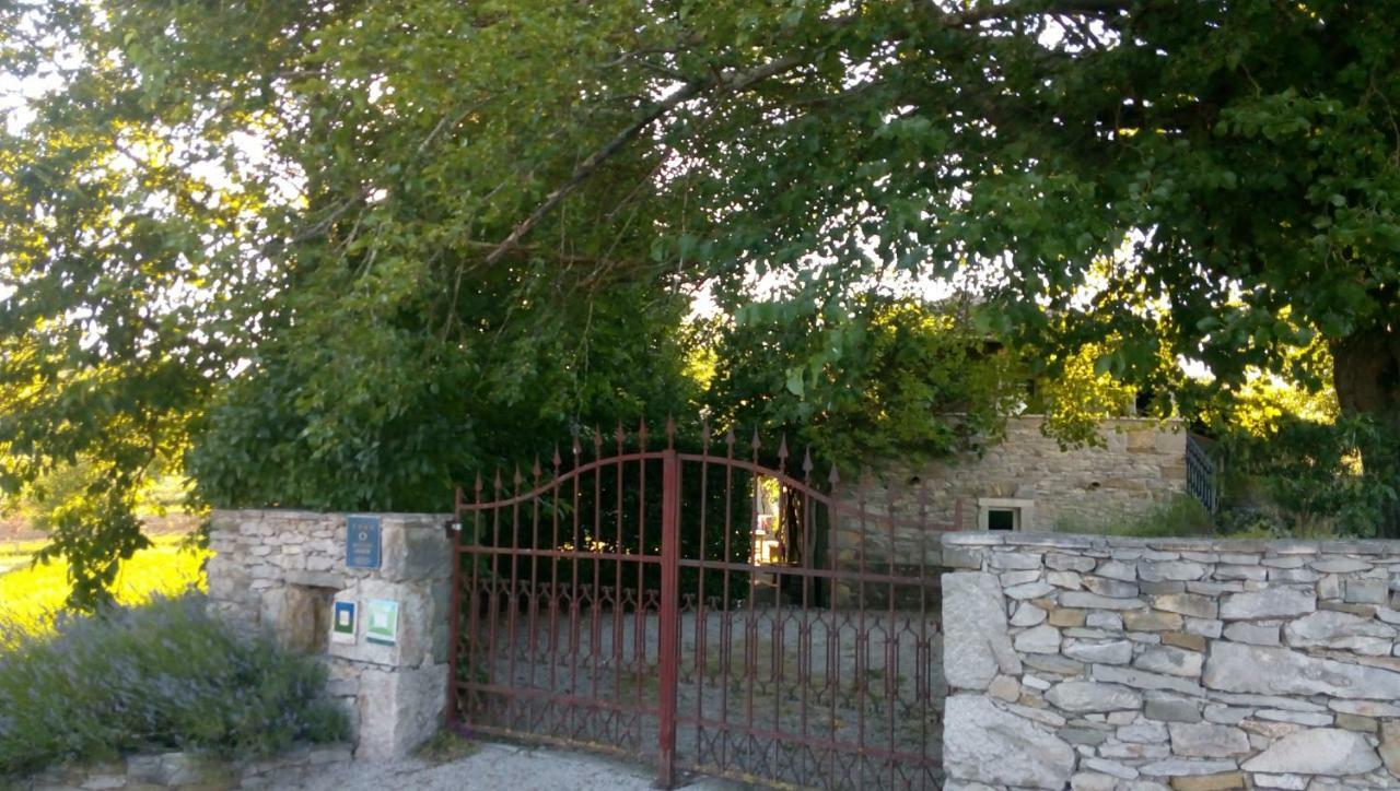 Villa Elena Buzet Eksteriør bilde