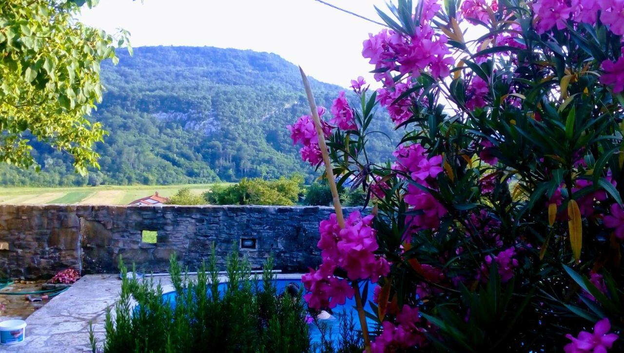 Villa Elena Buzet Eksteriør bilde